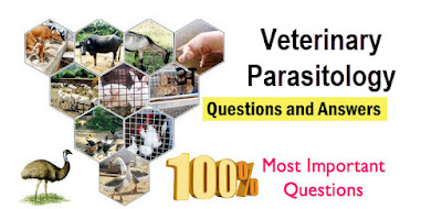 Veterinary Parasitology MCQS