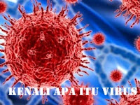 Kenali Apa Itu Virus