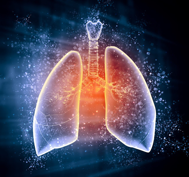 Idiopathic Pulmonary Fibrosis Treatment Market