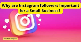 Instagram followers Important for a Small Business
