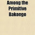 Among Primitive Bakongo