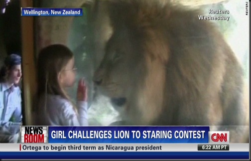 120110030702-nr-girl-lion-stare-down-story-top