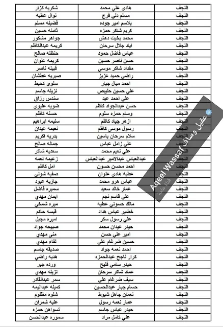 ملحق الوجبة الثامنة رعاية اجتماعية محافظة النجف