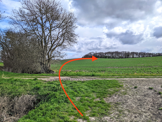 Braughing footpath 19 crosses a field, but we took a detour