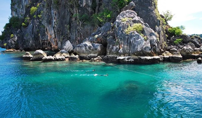 Laut Sepi karena Wabah Corona, Kawanan Duyung Terlihat Berkeliaran di Air,  naviri.org, Naviri Magazine, naviri majalah, naviri