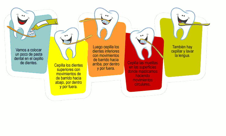 Salud En L S Nin S Cuidados Basicos De Los Dientes De Los Ninos Y