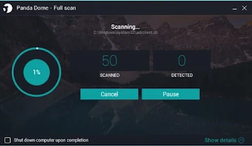 Panda Security