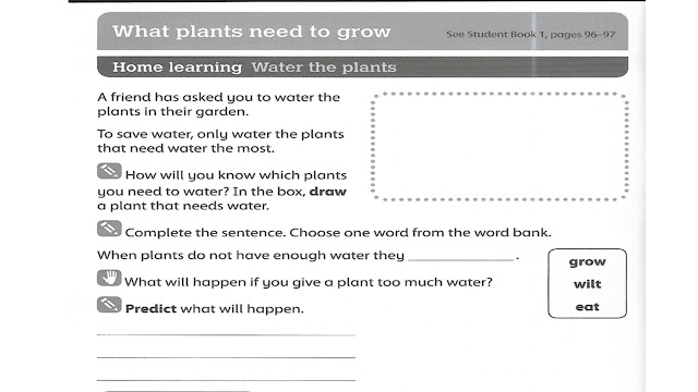 grade one science