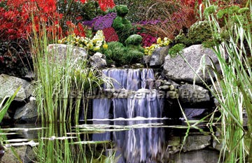 Waterfalls Garden Design Ideas