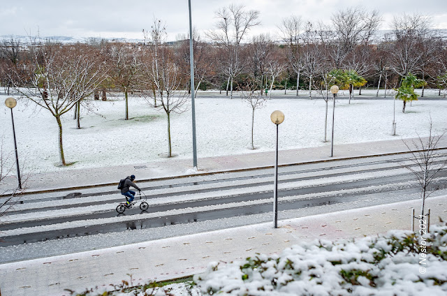 Logroño nevado enero 2021