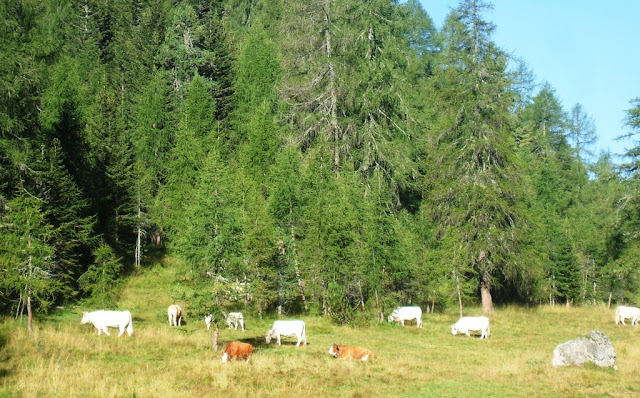 Lago Sorapiss e Rifuglio Vandelli