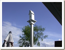 DSCN0521