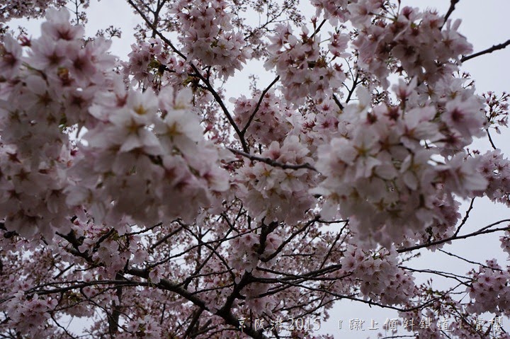 DSC03060