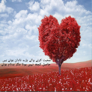 Mohabbat karne wale Bade Nadan Hote Hain/Love Poetry