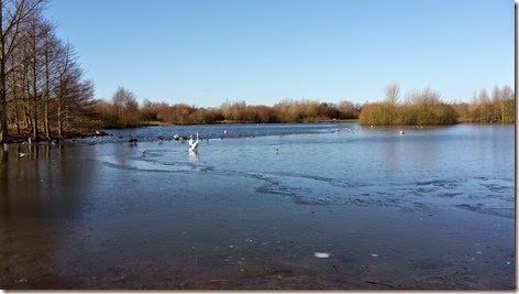 Gorgeous Day