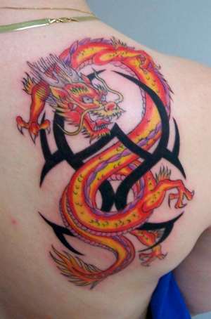 Dragon Tattoos Collection