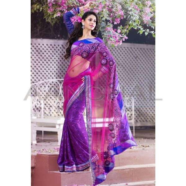 Aanchal Saree House Buy  Designer Sarees Indian  Wedding  