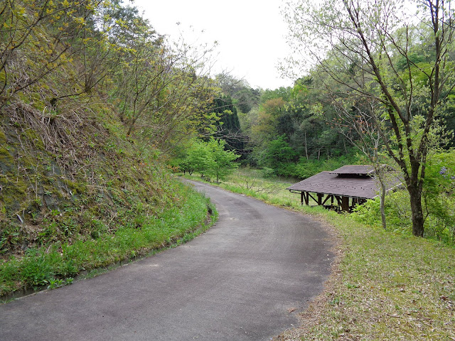 森林公園キャンプ場