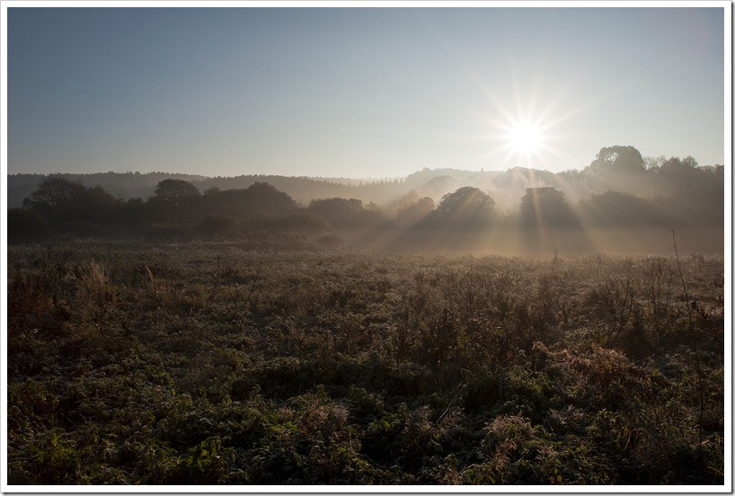 Mist