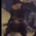 (Video): Woman gets shot on livestream during a fight 