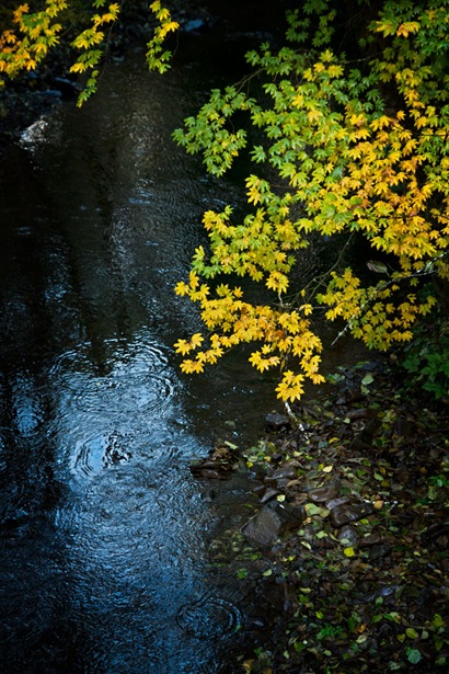 KlaskanineRiver