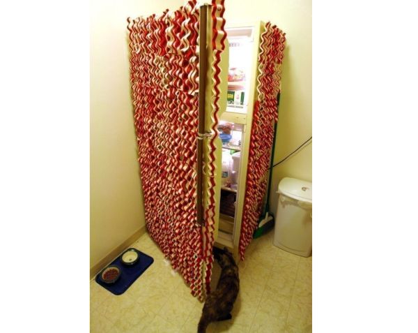 Bacon Decor7