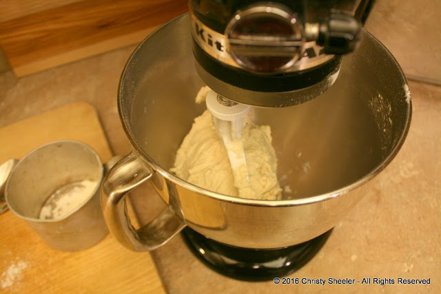The dough is mixed well and ready to rest while covered. 