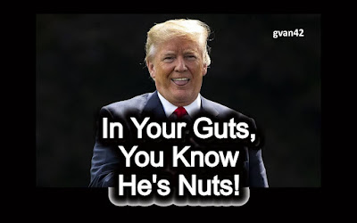 In Your Guts You Know He's Nuts!