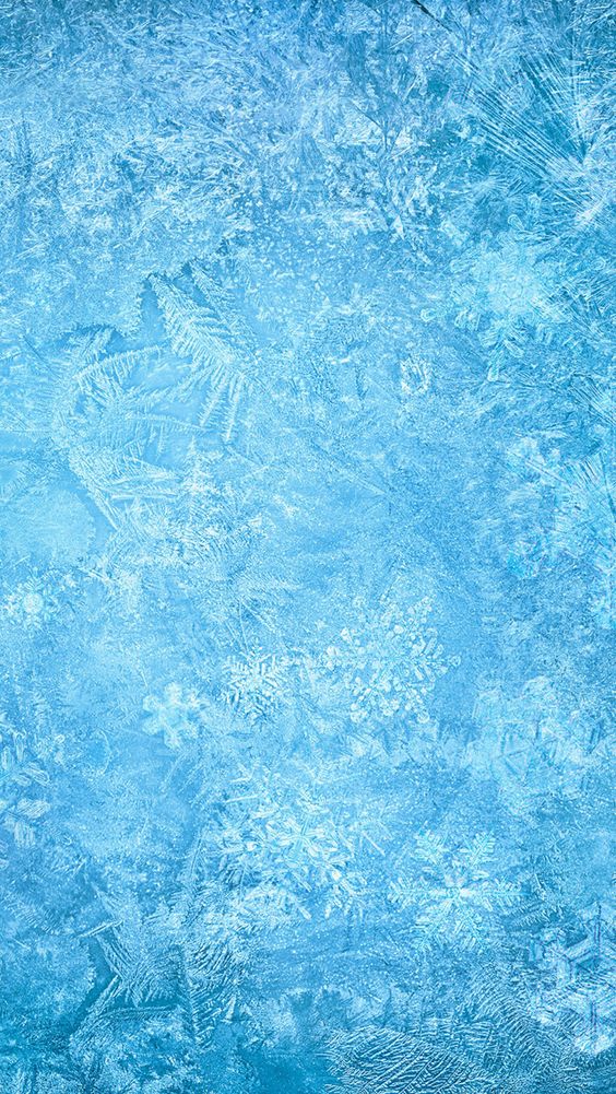 Snow Frozen  Wallpaper  Papel de Parede Imagem de 