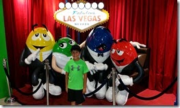 20140711_152219_S Las Vegas Blvd