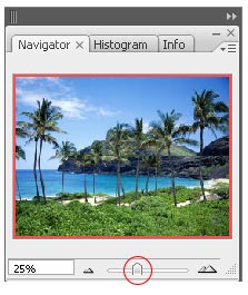 gambar palet navigator photoshop 3