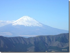 callitmountfuji