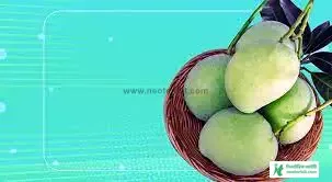 Raw Mango Picture - Mango Image Download - Raw Mango Picture, Pic - mango pic - NeotericIT.com - Image no 20