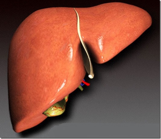 liver_3