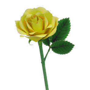 Rosa recortable