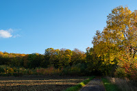 Waldfotografie Naturfotografie Weserbergland Olaf Kerber