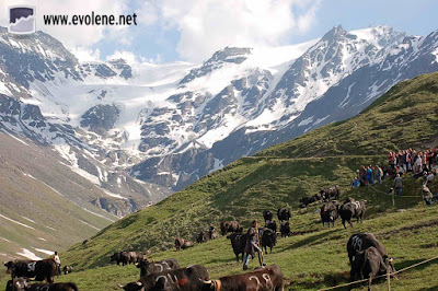 Inalpes Evolène Chemeuille Novelett Etoile