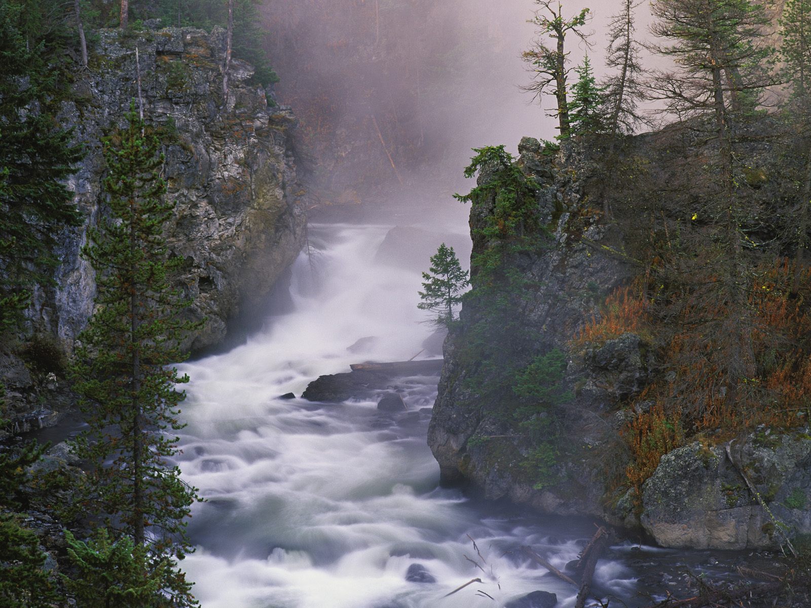 Yellowstone National Park In Wyoming wallpaper 56604