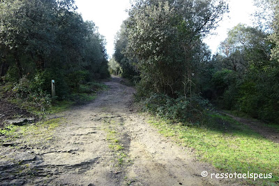 Camí a Sant Miquel de Sorerols