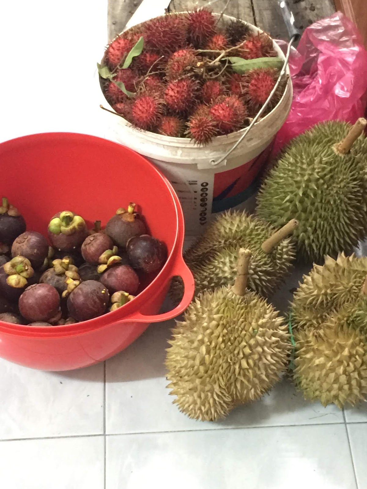 buah durian sedap, musim buah, buah-buahan tempatan, buah murah