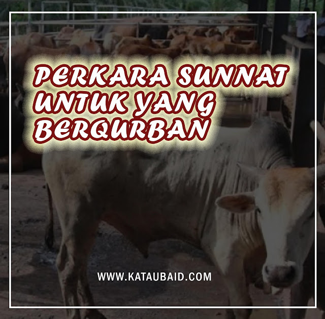 PERKARA SUNAT UNTUK ORANG YANG MELAKUKAN QURBAN AIDILADHA !