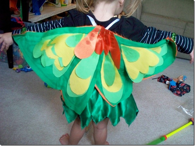 Miss butterfly