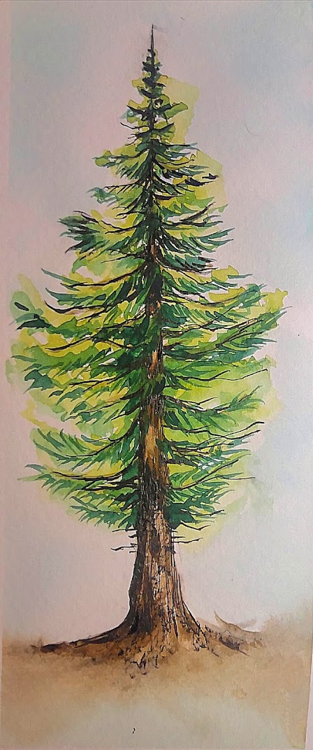 3 How to draw Watercolor trees step by step tutorial, come to see my web online class