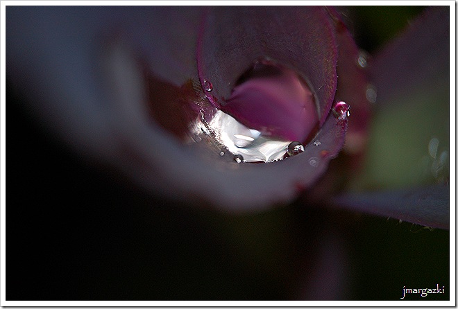 DSC_14220001