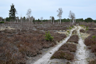 Pustynia Kozłowska 29-30.04.2022