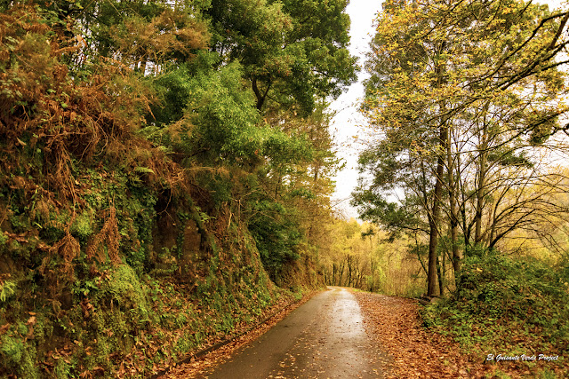 Carreteras de Taramundi - Asturias