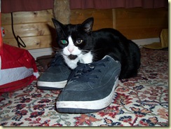 she has to be Puss in Boots2