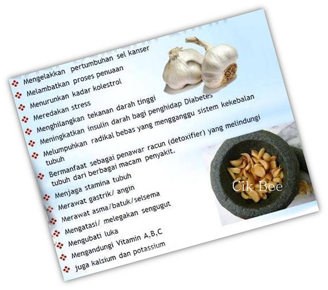 Info : Khasiat Bawang Putih (Allium sativum) - Resepi Cik Bee