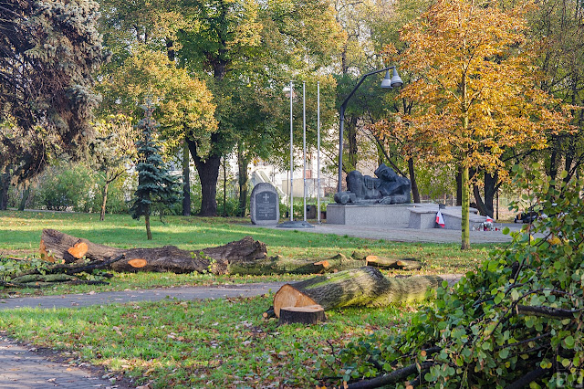 Budowa trasy tramwajowej na ulicy Kujawskiej w Bydgoszczy