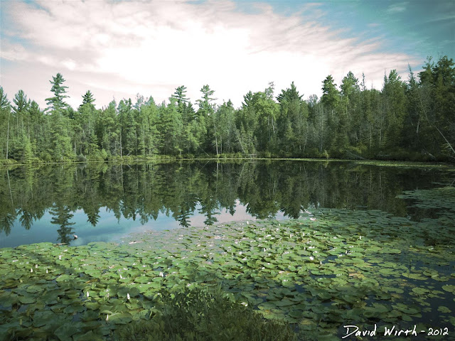 forest lake, ND filter, water, lillypads, clouds, reflection